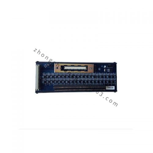 ICS Triplex T8191 Single Slot PLC Module