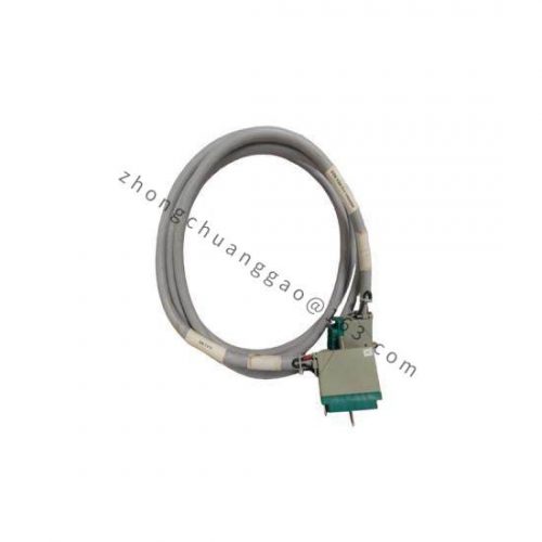 TRICONEX 4000093-310 Extended Product Type: PLC