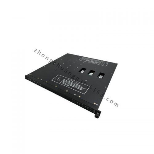 TRICONEX 3604E Digital Output Modules