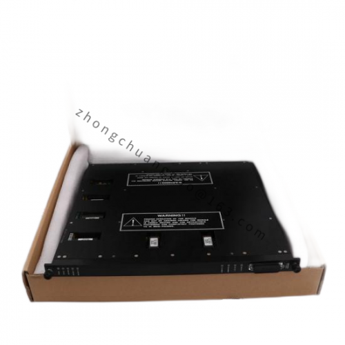 TRICONEX MP6004 Input/Output Module