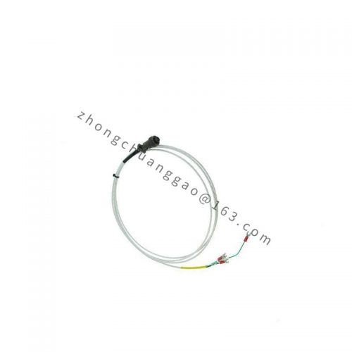 BENTLY 330130-045-01-CN Vibration Monitoring Module