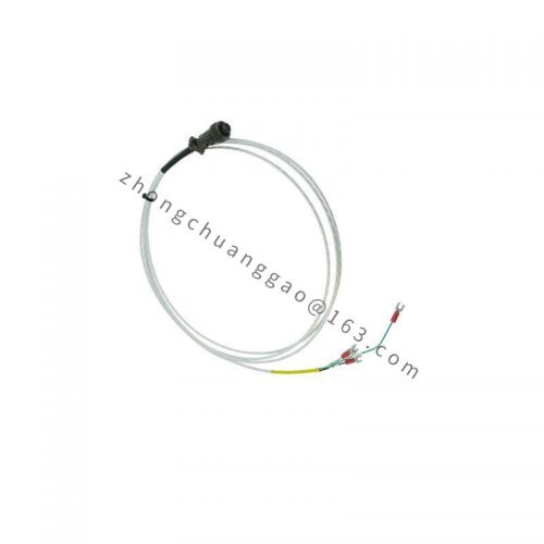 AB MicroLogix 1000 120/240VAC Control Module