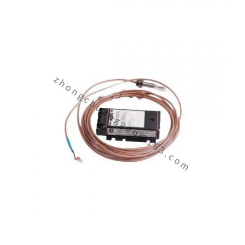 AB 1336-BDB-SP4D, Advanced Control Module
