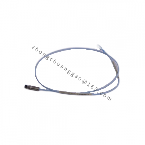 Bently Nevada 300103-A00-B09-C10-D02-E0 Advanced Control Module for Industrial Automation