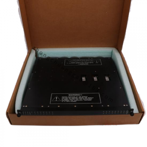 TRICONEX 3007: High-Performance Process Control Module