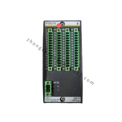Bachmann PAAI216 Analog Input Modules for Industrial Control Systems
